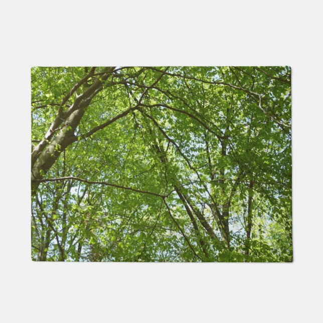 Tapete Canopia de Primavera deixa cena ecológica (Frente)