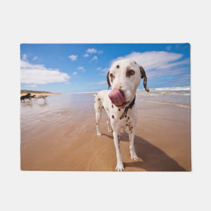Tapete Cão Dalmatian na praia