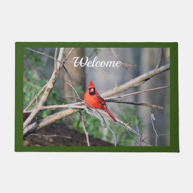 Tapete Cardinal Primavera Woods (Frente)