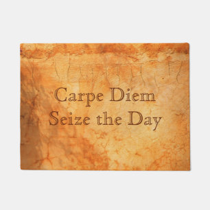 Tapete Carpe Diem terracotta - parede de tijolos colorida