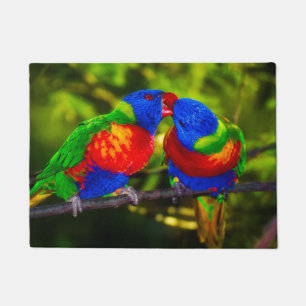Tapete Casal colorido dos papagaios