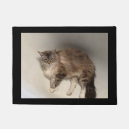 Tapete Cat Doormat