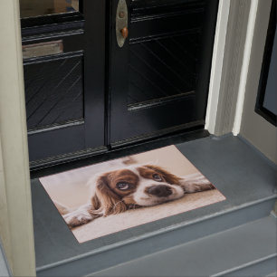 Tapete Cavalier Charles Spaniel