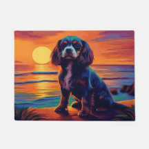 Cavalier King Charles Spaniel Pôr do sol / Nascer 