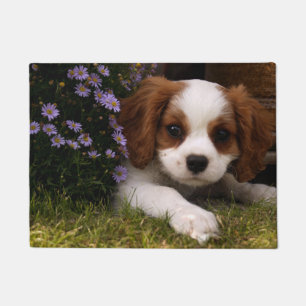 Tapete Cavalier King Charles Spaniel Puppy atrás de flor