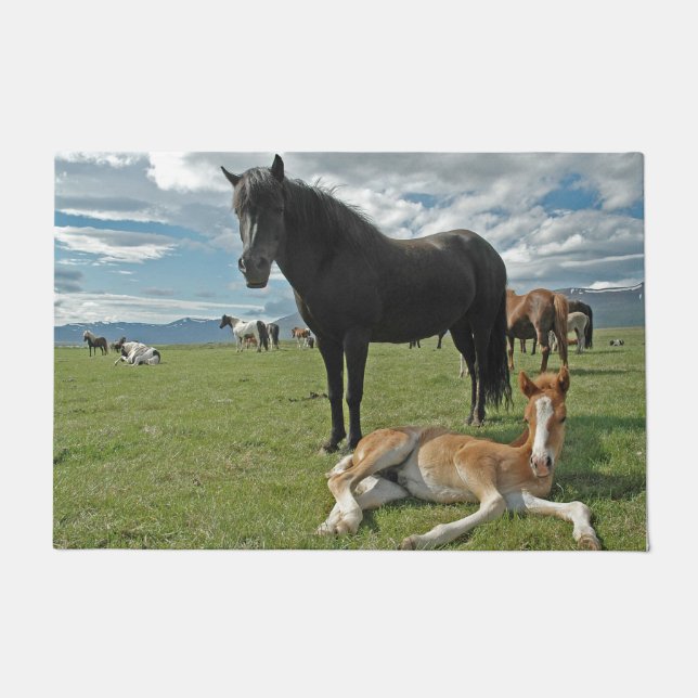 Tapete Cavalos (Frente)