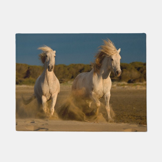 Tapete Cavalos brancos que funcionam na praia | Camargue, (Frente)