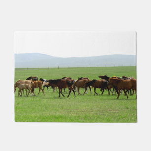 Tapete Cavalos na Pastura - Fotografia Paisagem