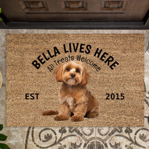 Tapete Cavoodle Personalizado Dog Lover Doormat