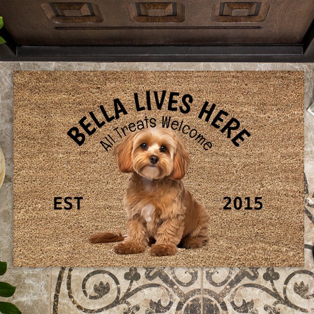 Tapete Cavoodle Personalizado Dog Lover Doormat (Criador carregado)