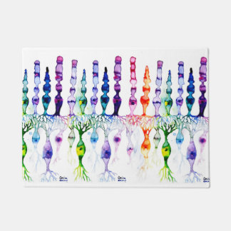 Tapete Células-do-mar e neurônio bipolar da retina