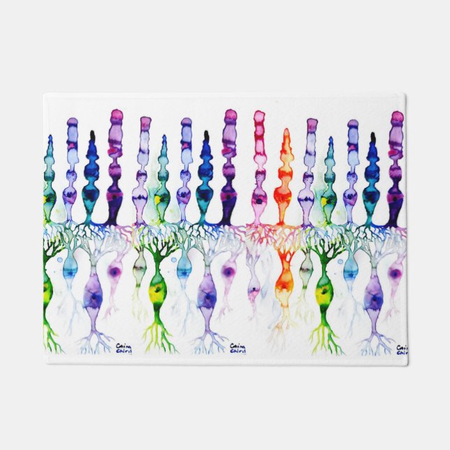 Tapete Células-do-mar e neurônio bipolar da retina (Frente)