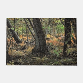 Tapete Cena de floresta outonal           