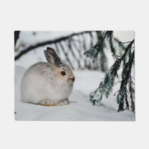 Tapete Cena Natural de Neve de inverno de Hare Hare