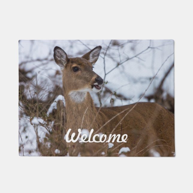 Tapete Chewy Welcome Doormat (Frente)