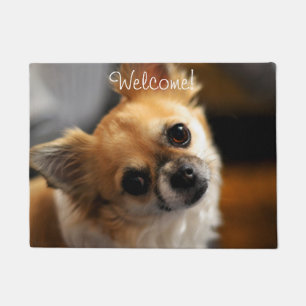 Tapete Chihuahua Door Mat Bem-vindo Adicionar Foto