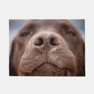 Tapete Chocolate Labrador Nose Closeup