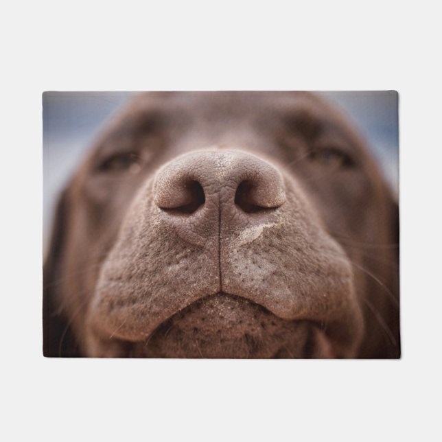 Tapete Chocolate Labrador Nose Closeup (Frente)