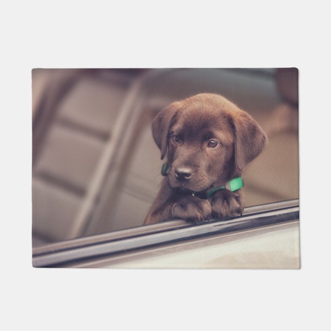Tapete Chocolate Labrador Pupido No Carro (Frente)