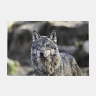 Tapete Cinza Wolf