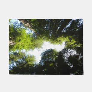 Tapete Círculo de Árvores Redwood no Parque Nacional Redw