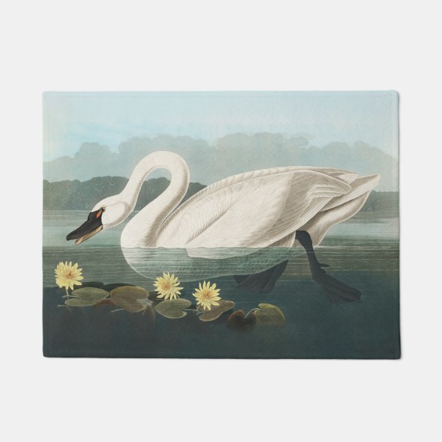 Tapete cisnes brancas de pássaro de audubon do cisne (Frente)