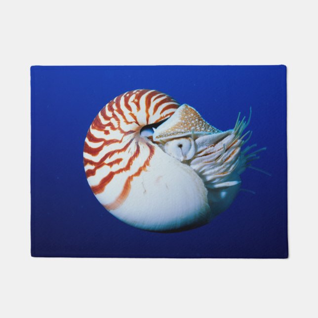 Tapete Close-Up de Nautilus-Camarado (Frente)