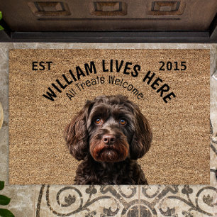 Tapete Cockapoo - Pet Personalizado