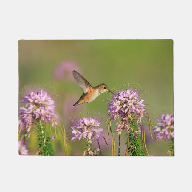 Tapete Colibri e Wildflowers (Frente)