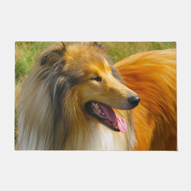 Tapete Collie de pelo longo. (Frente)