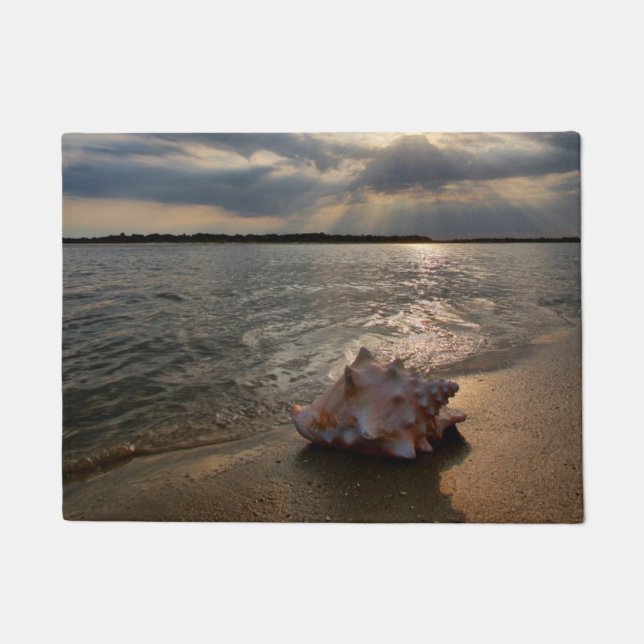 Tapete Conch Shell na praia | St Augustine, Fl (Frente)