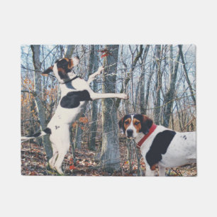 Tapete Coonhounds do caminhante de Treeing na esteira de