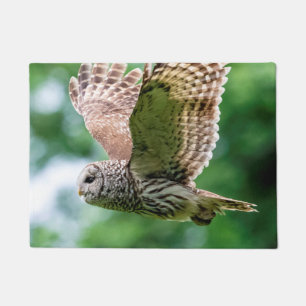 Tapete Coruja barrada em vôo