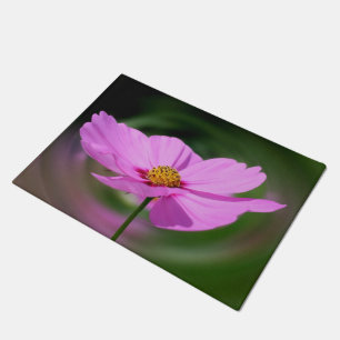Tapete Cosmos Selvagens, cor-de-rosa solteiro