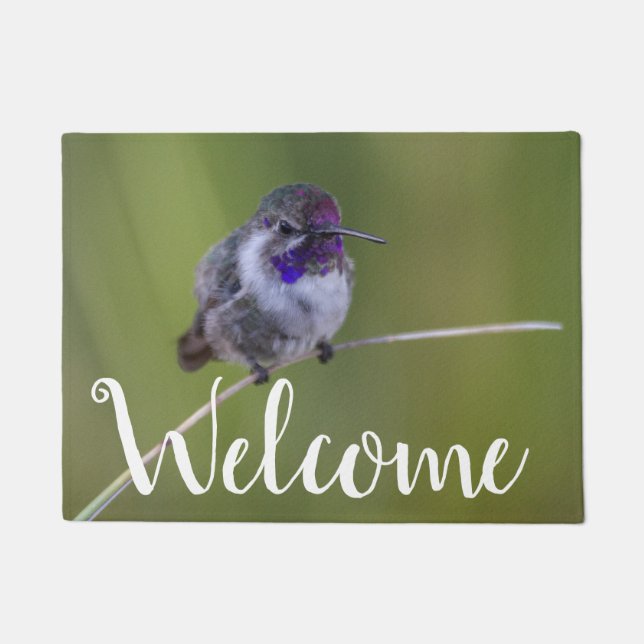 Tapete Costa's Hummingbird em agosto (Frente)