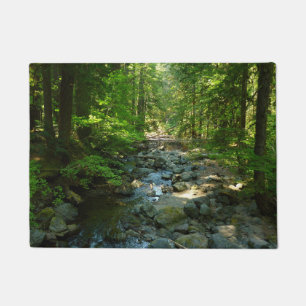Tapete Creek de Água Raiva no Parque Nacional de Monte R