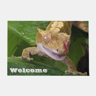 Tapete Crested Gecko