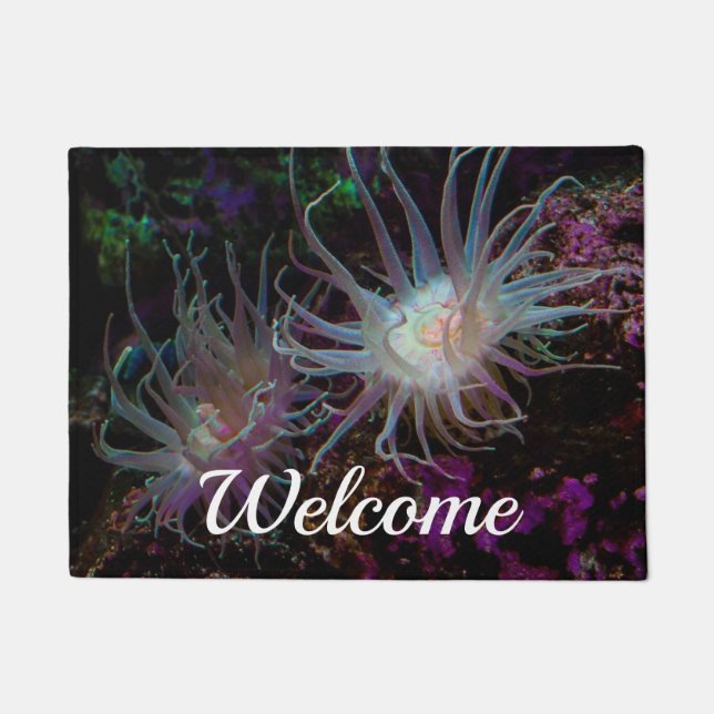 Tapete Crimson Anemone Welcome Doormat (Frente)
