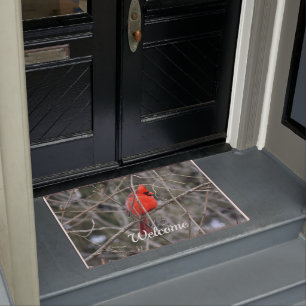 Tapete Crista cardinal