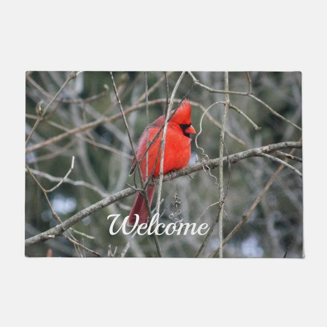 Tapete Crista cardinal (Frente)