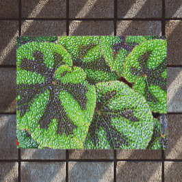 Tapete Cruz de Ferro Begonia Floral