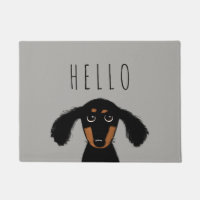 Cute Dachshund Puppy | Cachorro de salmoura