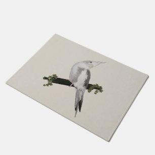 Tapete Cute Lutino Cockatiel Bird Ivy Perch Animal