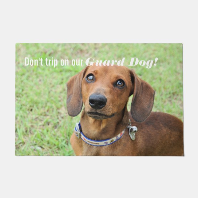 Tapete Dachshund (Frente)