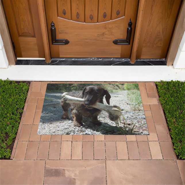 Tapete Dachshund (Ar livre)