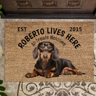 Tapete Dachshund Personalizado Dog Lover Doormat