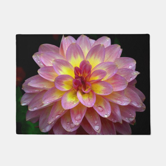 Tapete Dahlia rosa (Frente)