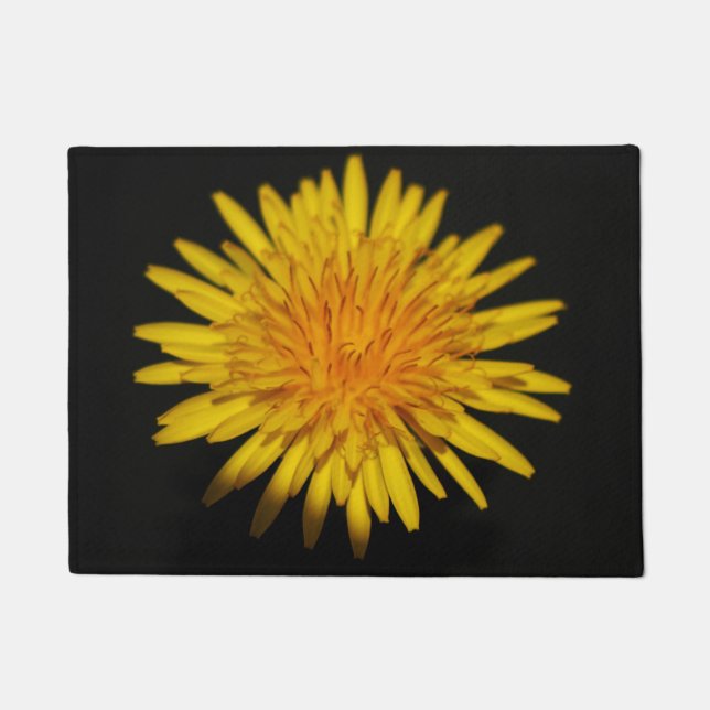 Tapete Dandelion Flower dmcna (Frente)