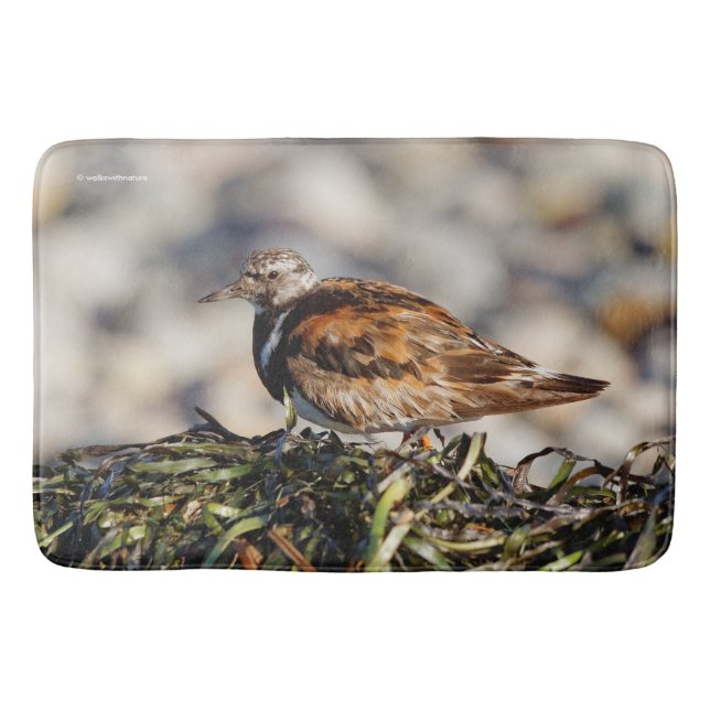 Tapete De Banheiro A Showstop Ruddy Turnstone (Frente)