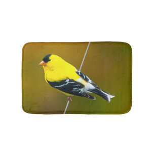 Tapete De Banheiro American Goldfinch - Fotografia original